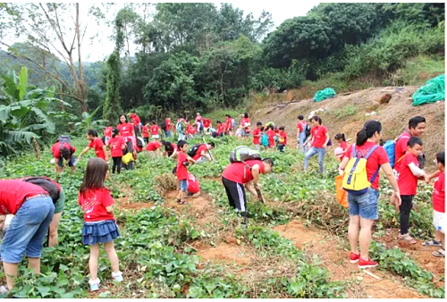 wxid_bdmoj2i4xw7s22_1479806040444_52.jpg wxid_bdmoj2i4xw7s22_1479806040444_52.jpg