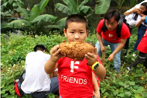 wxid_bdmoj2i4xw7s22_1479806040553_73.jpg wxid_bdmoj2i4xw7s22_1479806040553_73.jpg