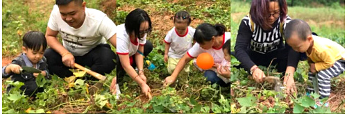 微信圖片_20171107163639.jpg 微信圖片_20171107163639.jpg