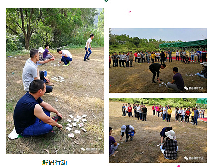 解碼行動.jpg 解碼行動.jpg