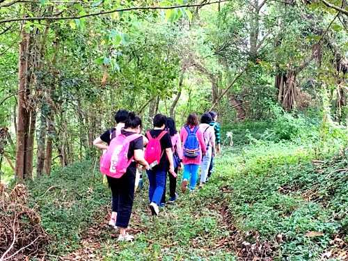 森林環(huán)保.jpg 森林環(huán)保.jpg