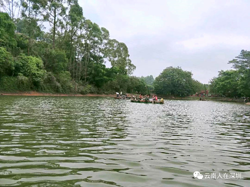 水上竹筏.jpg 水上竹筏.jpg