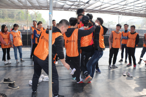 IMG_0237.jpg IMG_0237.jpg