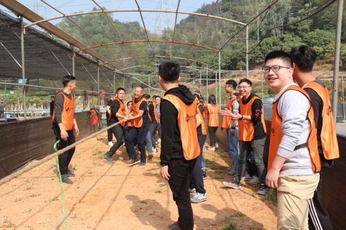 IMG_0623.jpg IMG_0623.jpg