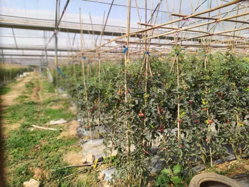 微信圖片_20200107162953.jpg 微信圖片_20200107162953.jpg