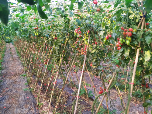 微信圖片_20200322101348.jpg 微信圖片_20200322101348.jpg