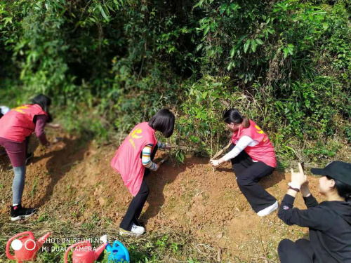 微信圖片_20210223105335.jpg 微信圖片_20210223105335.jpg