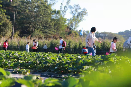 微信圖片_20210310175503.jpg 微信圖片_20210310175503.jpg