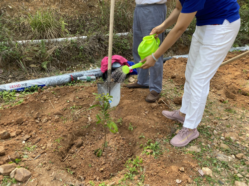 微信圖片_20210316192056.jpg 微信圖片_20210316192056.jpg