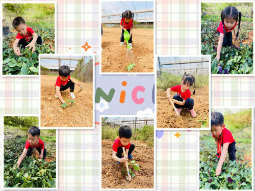 微信圖片_20210430180850_副本.jpg 微信圖片_20210430180850_副本.jpg