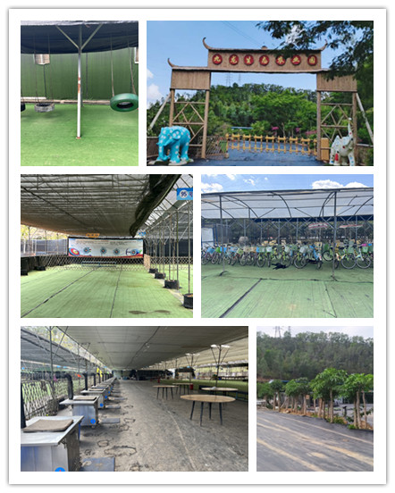 未命名_副本2.jpg 未命名_副本2.jpg