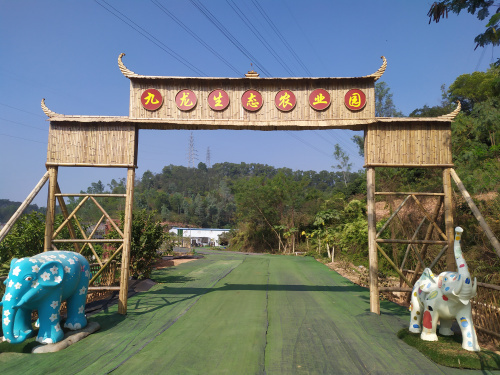 疫情當下深圳農(nóng)家樂的現(xiàn)狀，讓我們期待春暖花開